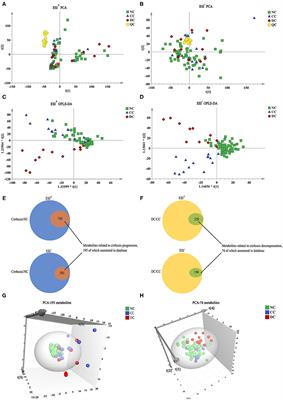 Serum Metabolomic Analysis of Chronic Drug-Induced Liver Injury With or Without Cirrhosis